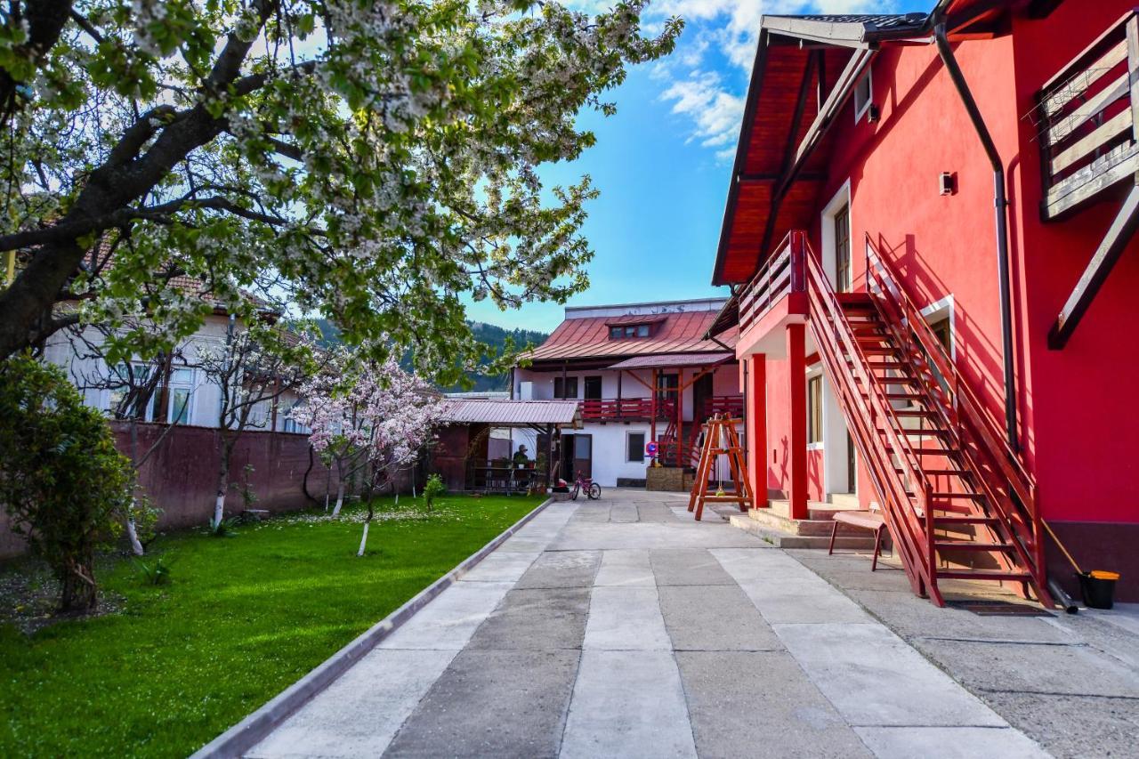 Villa Castellino Tîrgu Ocna Dış mekan fotoğraf